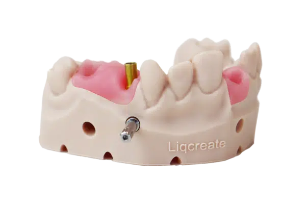 Résine Liqcreate Gingiva Mask – Image 2