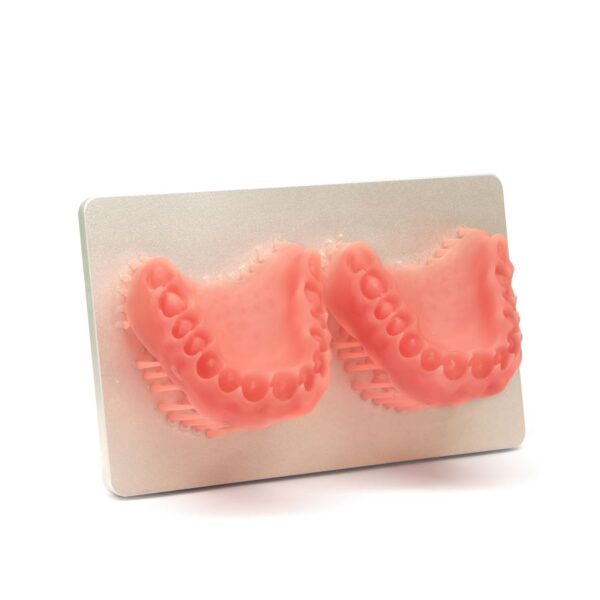 dentafab powerresins denture