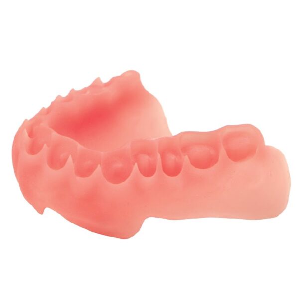 dentafab powerresins denture