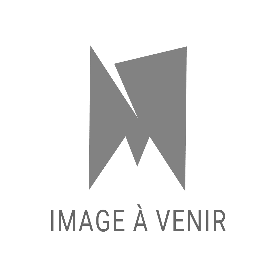 En attente de l’image du produit