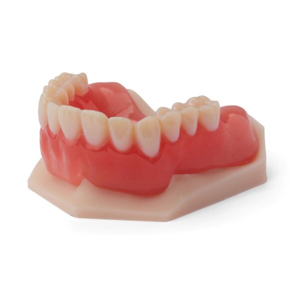 résine premium teeth biocompatible pour imprimante 3D formlabs