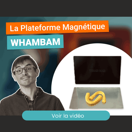 Dans cette vidéo, notre expert en impression 3D explique les avantages des plateformes magnétiques Wham-Bam pour les imprimantes résine.