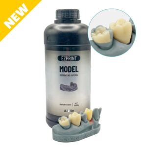 Résine Aidite Dental Model (Grey)