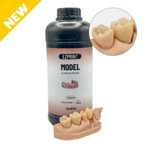 Résine Aidite Dental Model (Almond)