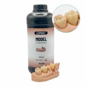 Résine Aidite Dental Model (Almond)
