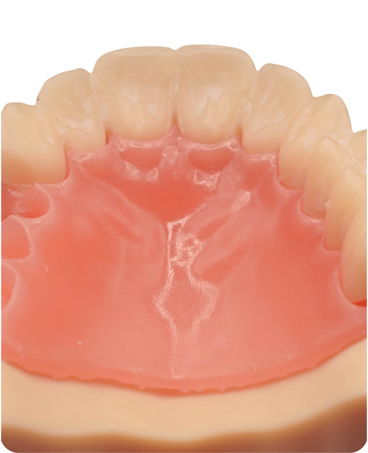 résine formlabs denture base v2 : pour la production de bases et de modèles d’essayage de prothèses dentaires durables, résistantes à l'usure et biocompatibles.